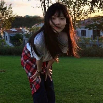 金式森林粤语